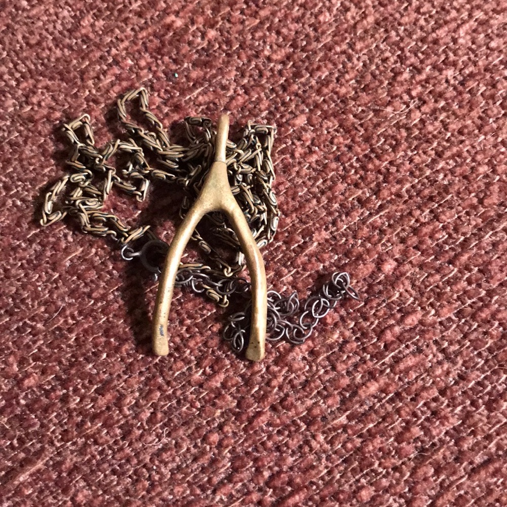Wishbone necklace.